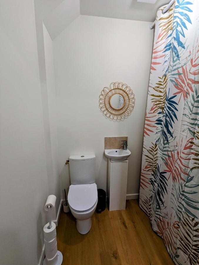 Douceur, Elegance Au Coeur D'Albi Apartment Luaran gambar