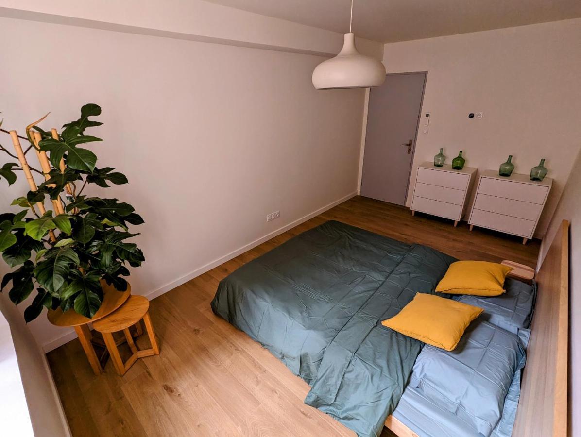 Douceur, Elegance Au Coeur D'Albi Apartment Luaran gambar